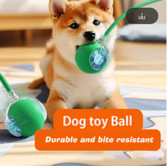 Interactive toy