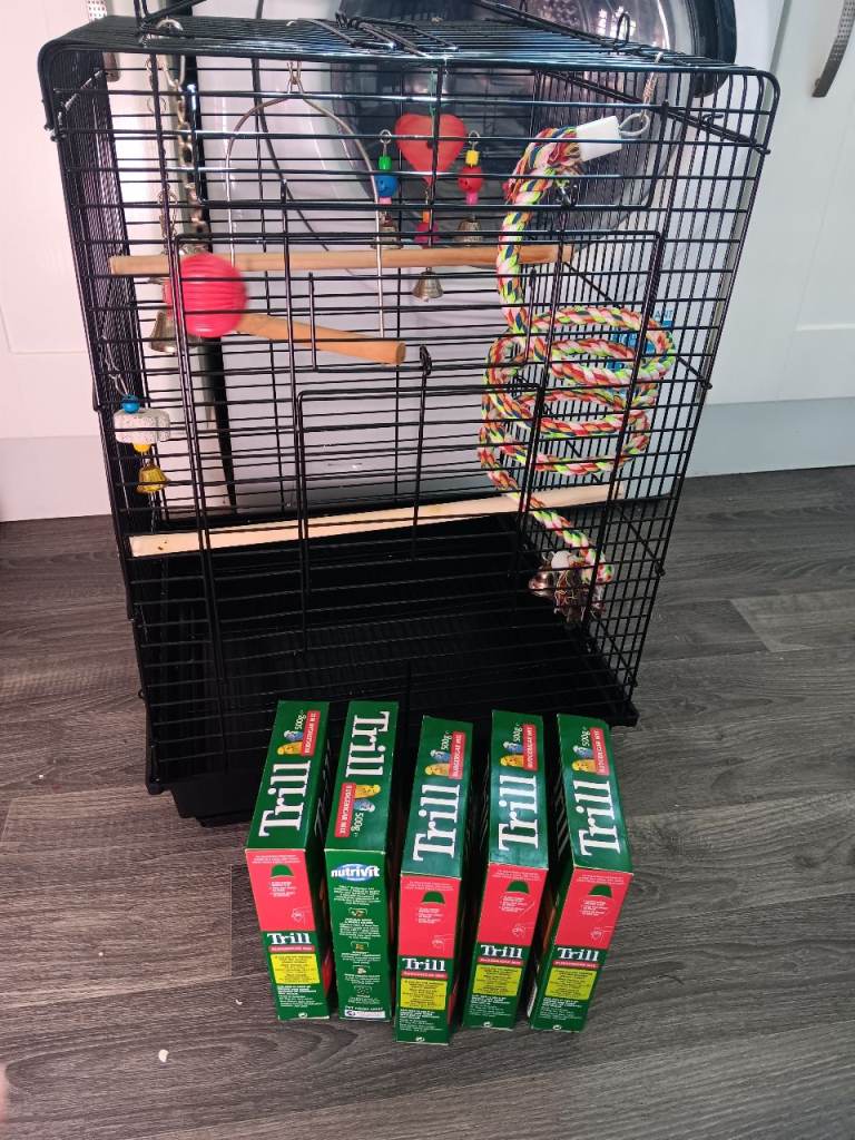 Birdcage with toys feeders food