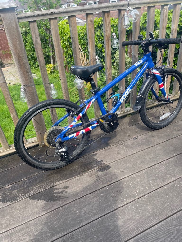 Frog Bike