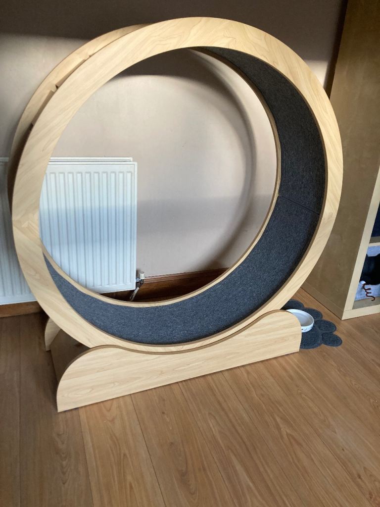 Extra Large Cat Wheel 