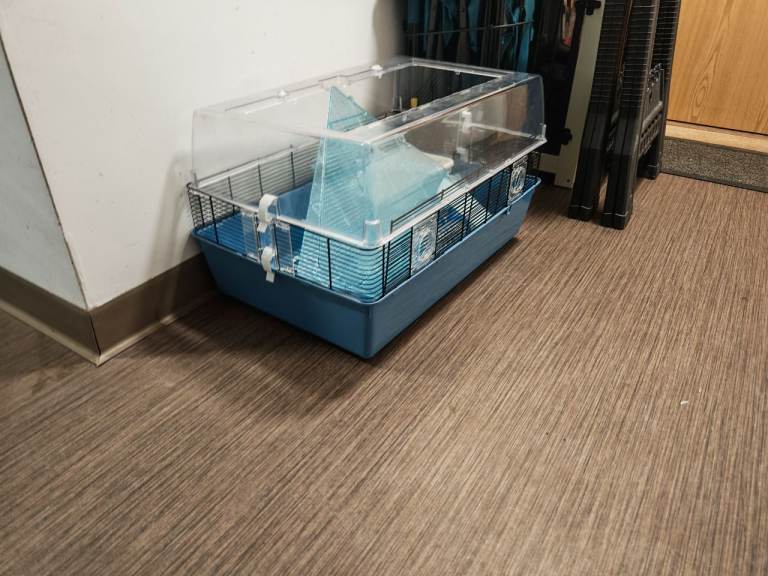 Hamster Cage 