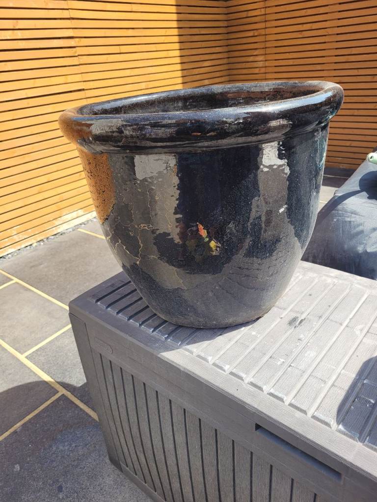 Large Black Glazed terracotta Garden Planter – Good Condition