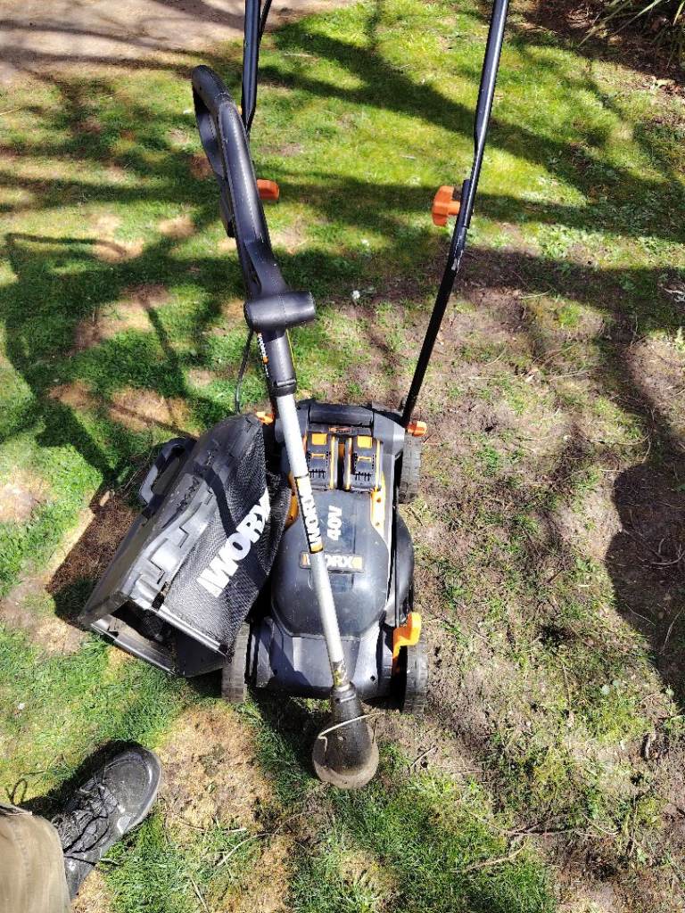 Lawnmower and strimmer 