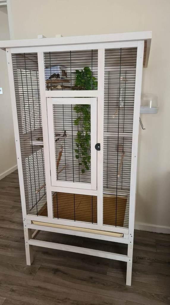 Wooden bird cage