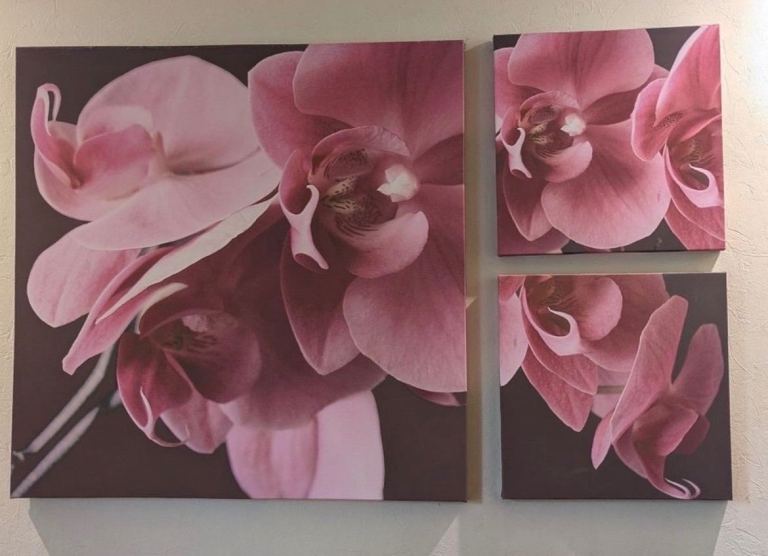 Orchid canvas / wall art