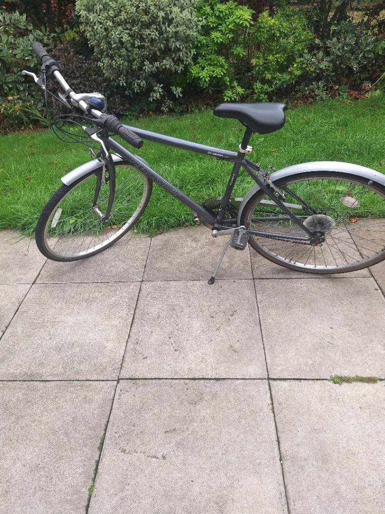 Raleigh  pioneer bike
