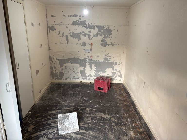 painter and decorator