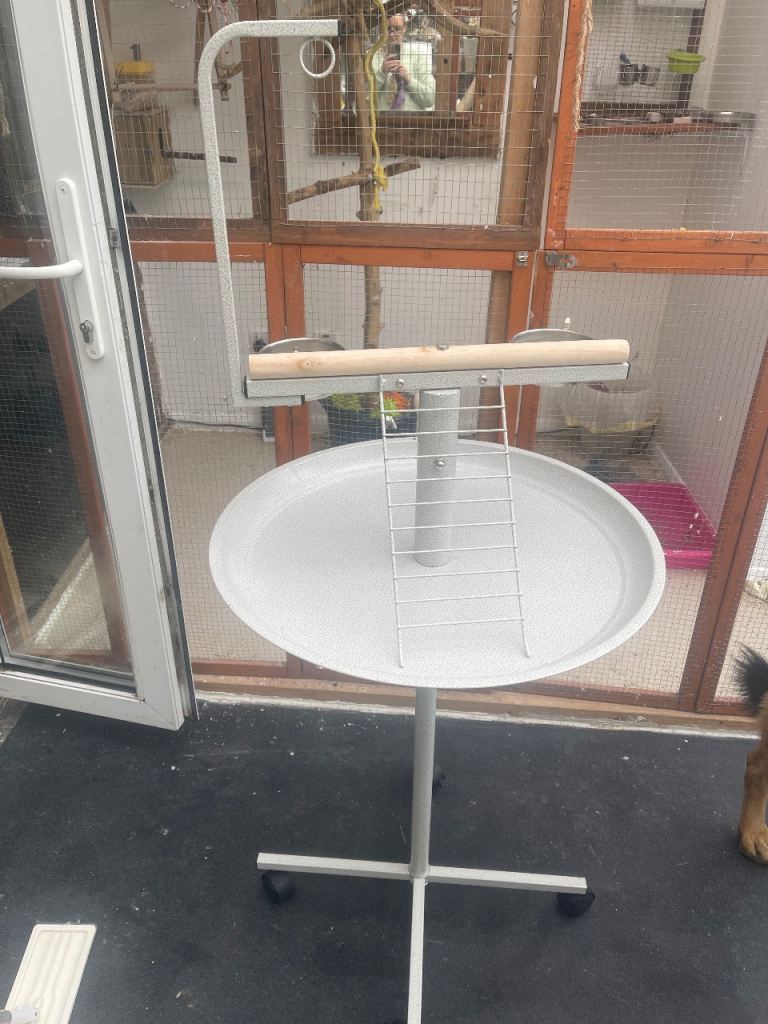 Parrot stand
