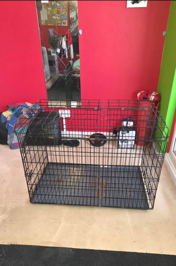 Large Dog Crate / Folding Pet Cage – Good Condition