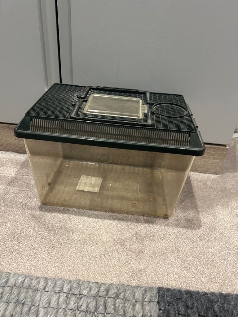 Reptile bug enclosure 
