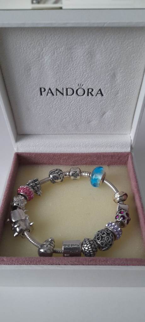 Pandora Silver Bracelet with Charms