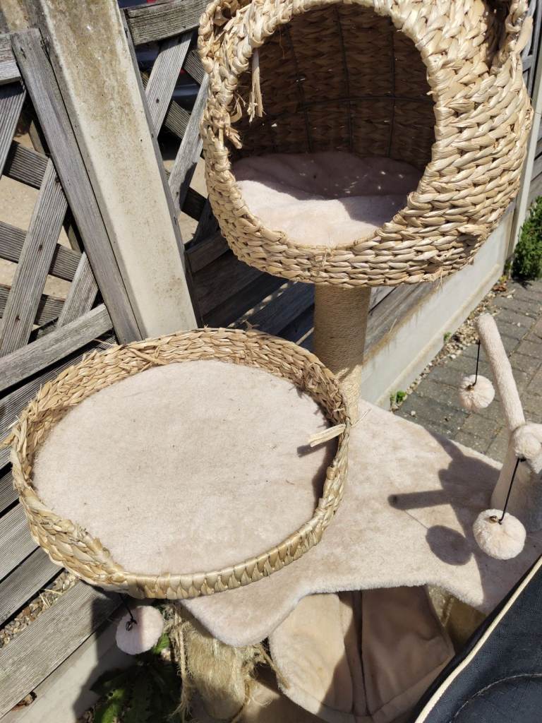 Free cat tower