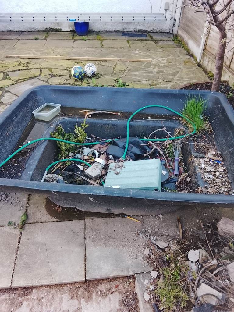 ***free pond insert**