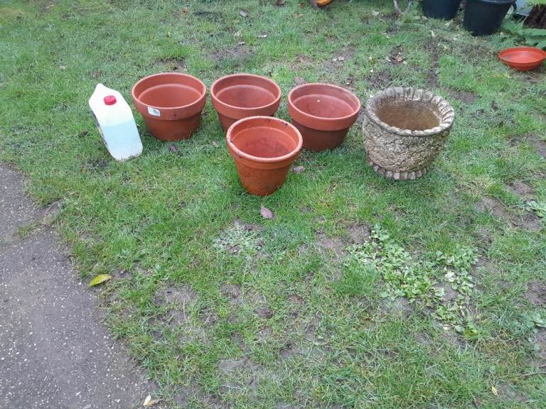 Large terracotta plant pots and ornaments