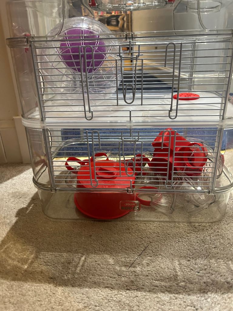 Hamster cage 