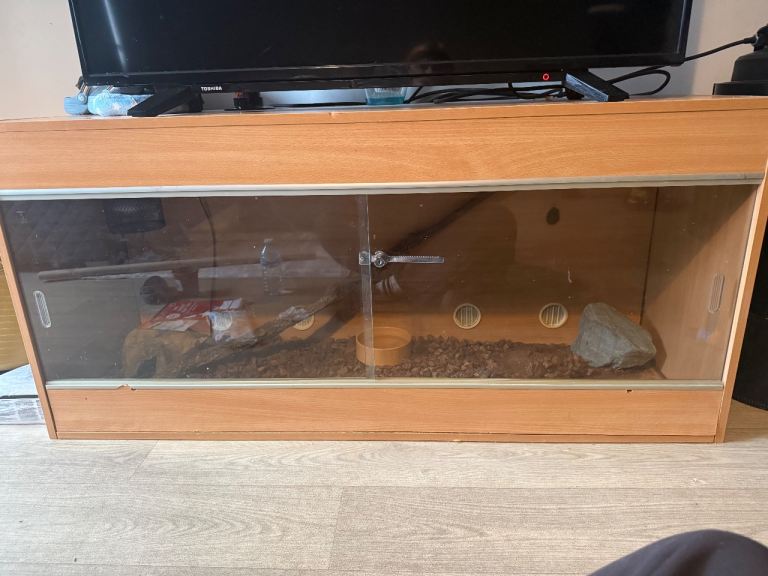 Reptile vivarium 