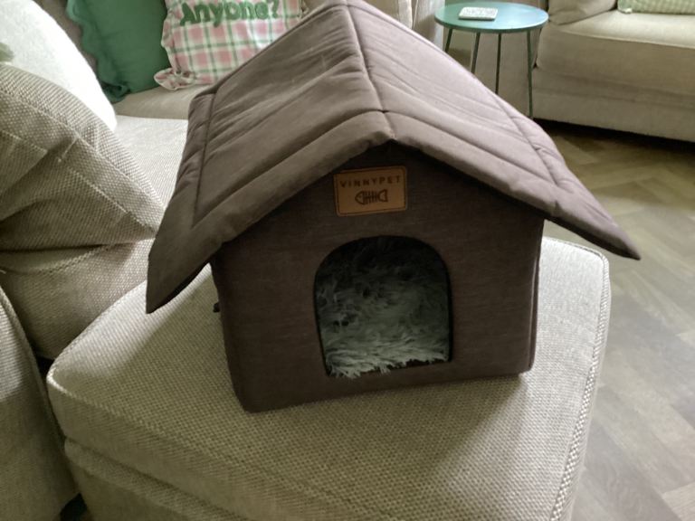 Cat House 