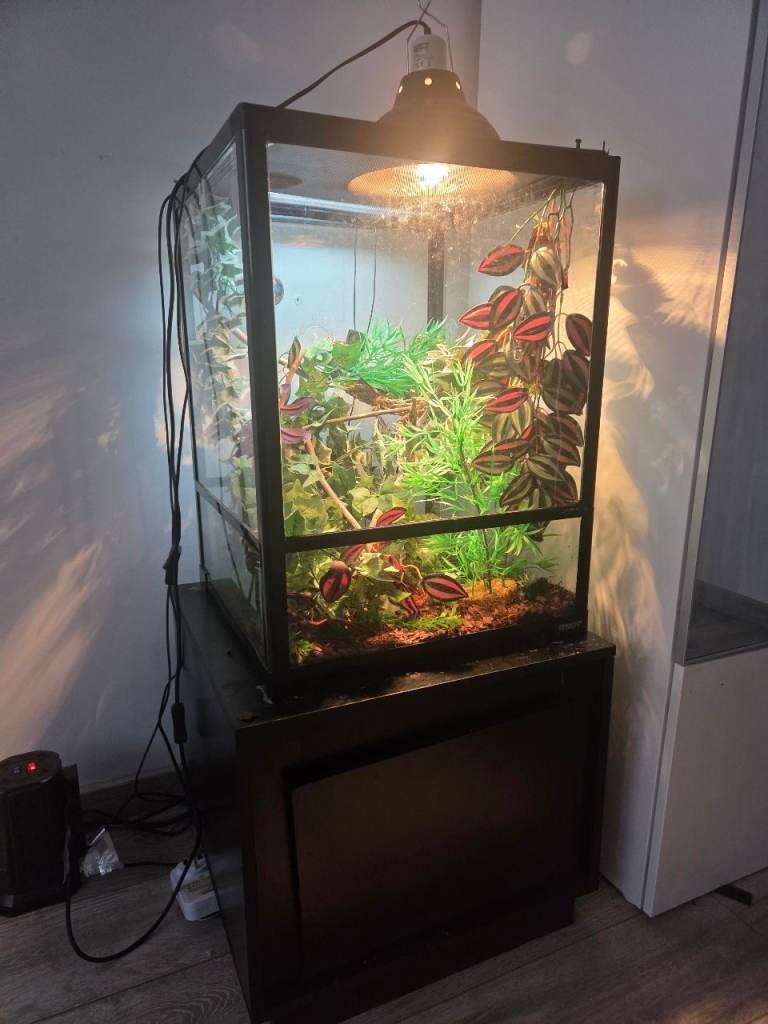 Vivarium + cabinet
