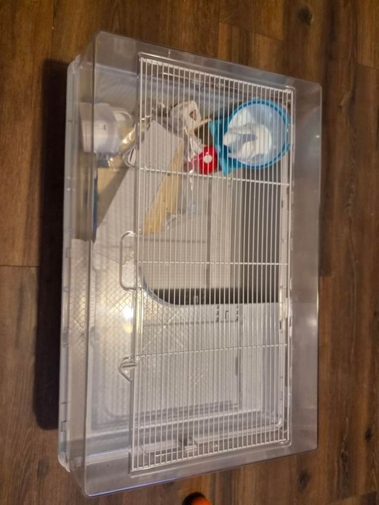 Hamster/mouse cage