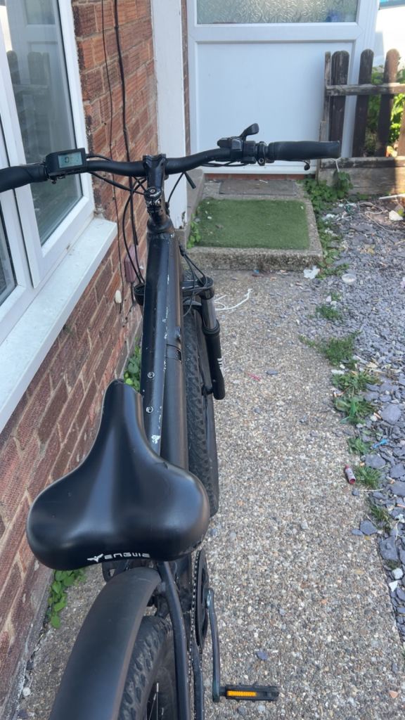 Electric bike 