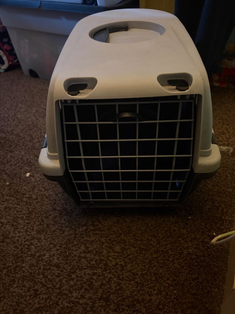 Small pet carrier 