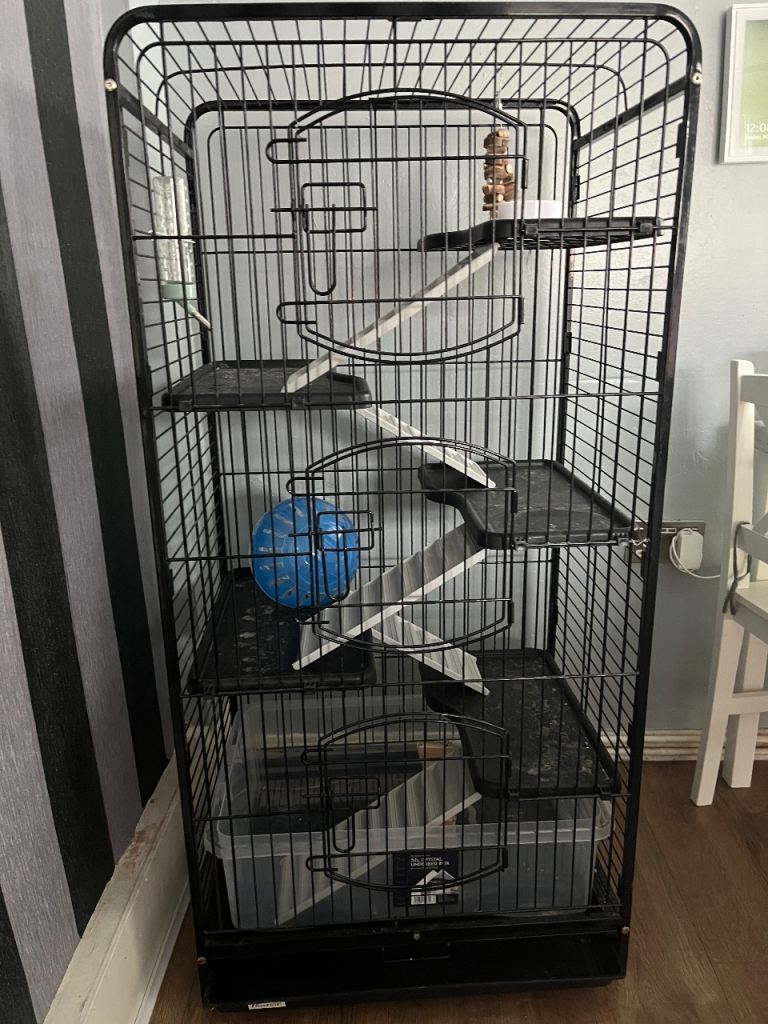 Pet cage 