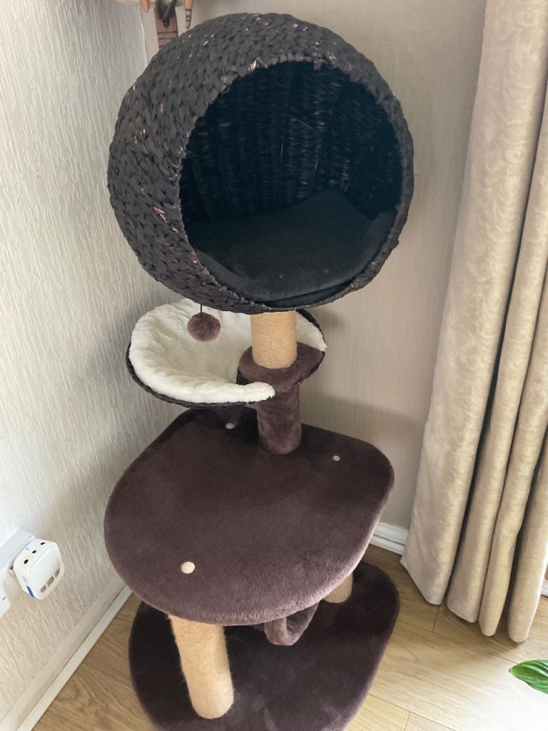 Cat tree
