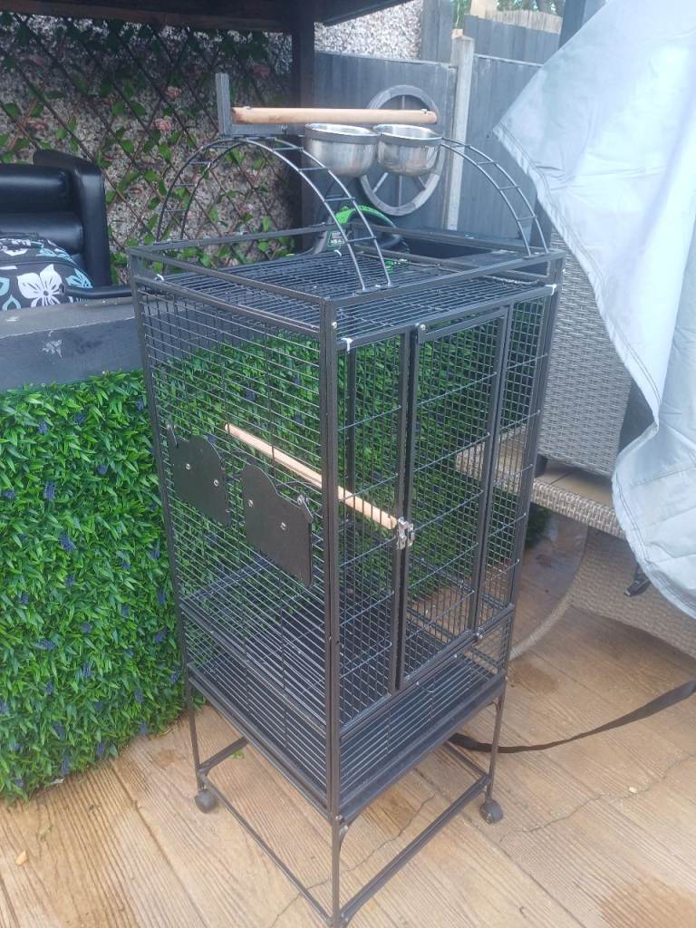 Bird cage 