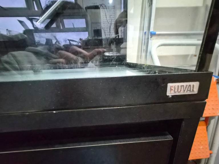 Fluval Roma 200 fish tank and cabinet