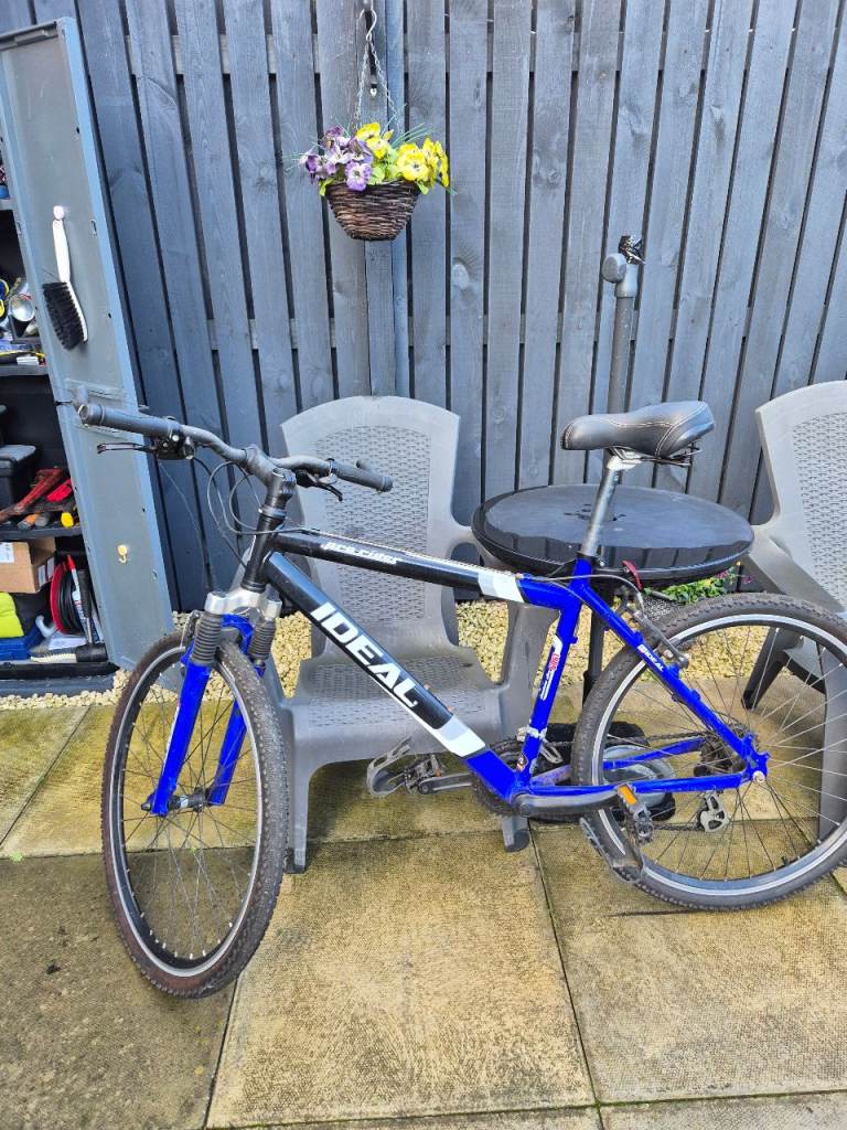 Mens Pro-Rider mountain bike 