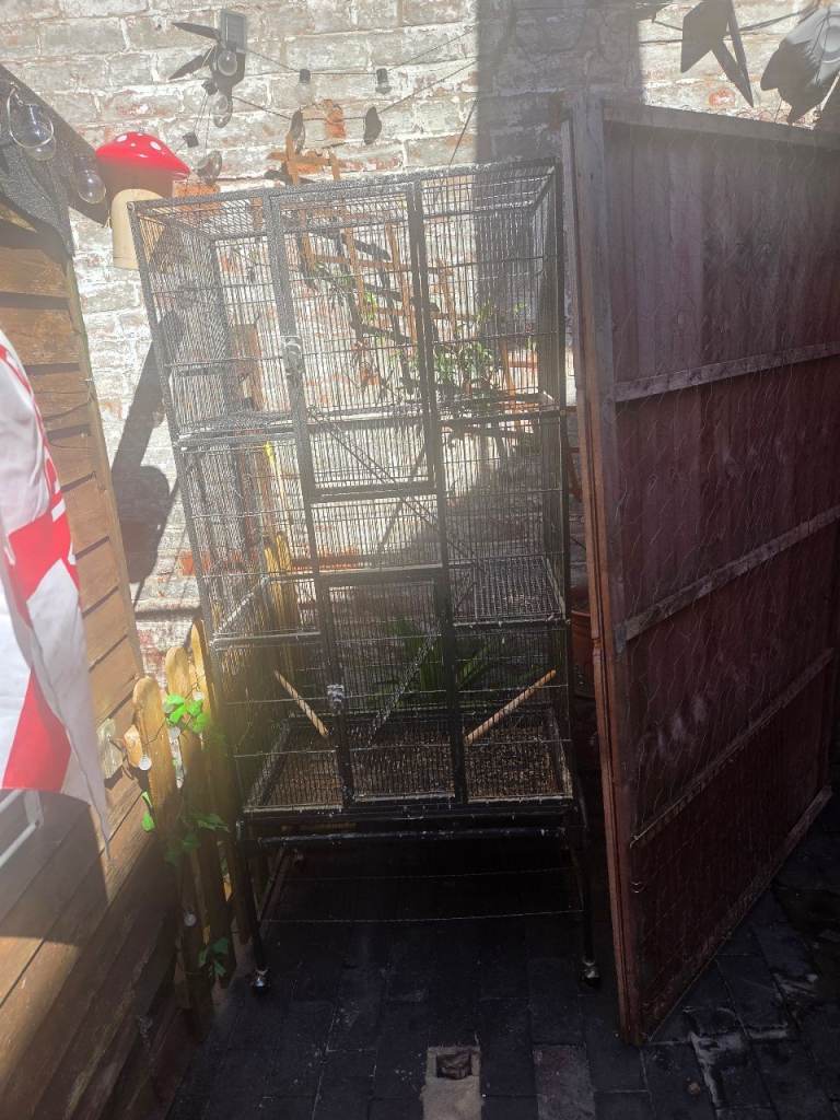 Large bird cage