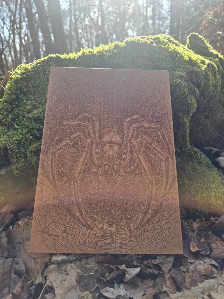A4 Laser engraved spider on 6mm mdf