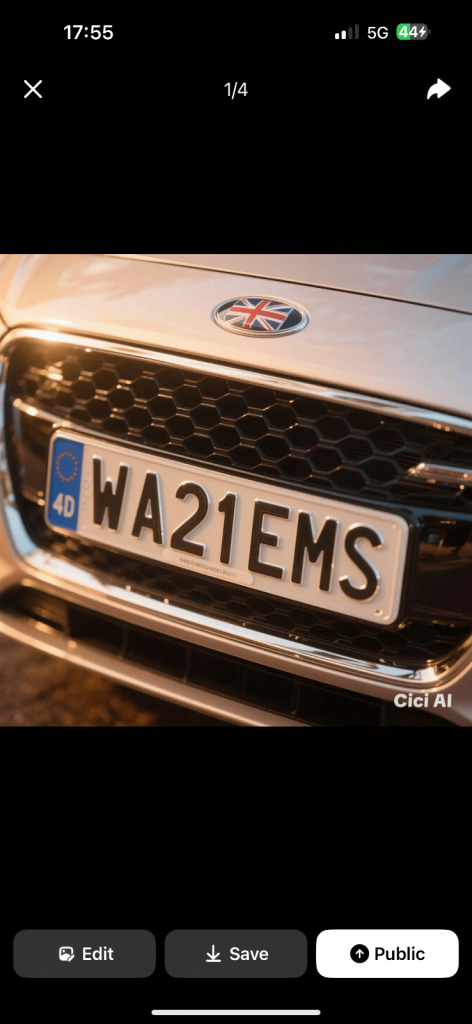 Private number plate wasim