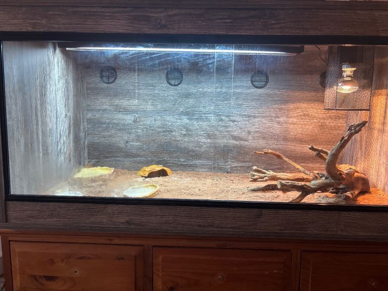 Vivarium