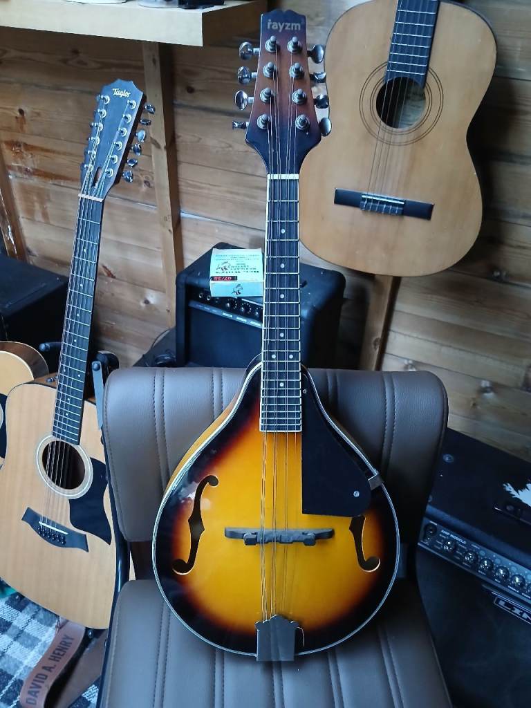 Mandolin