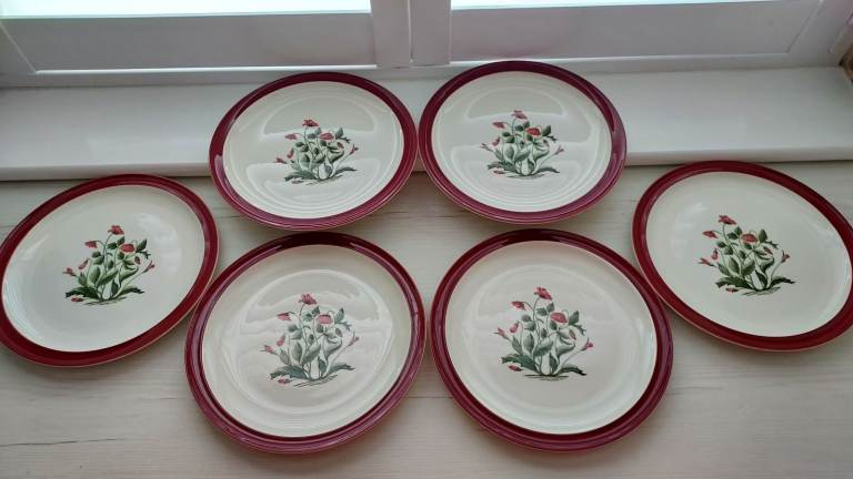 Thirty One Pieces of Wedgwood Mayfield Ruby in VGC