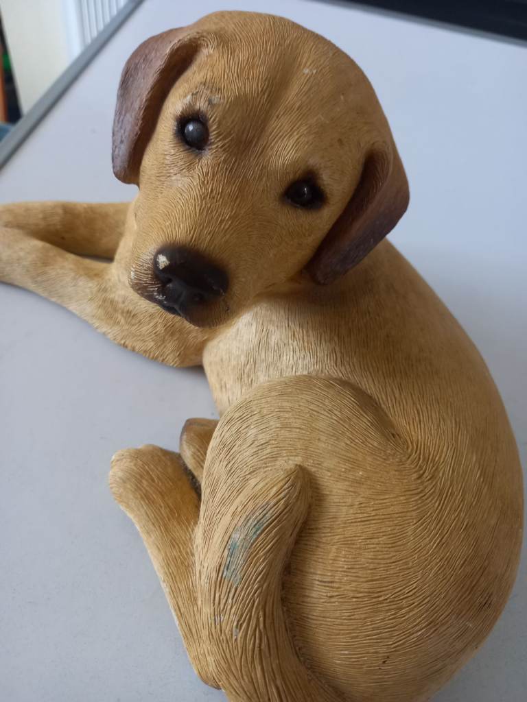 SANDICAST  LABRADOR