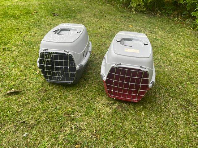 Small pet carrier