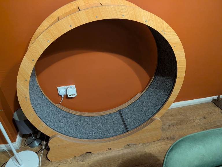 Cat Wheel 45" Large Cats