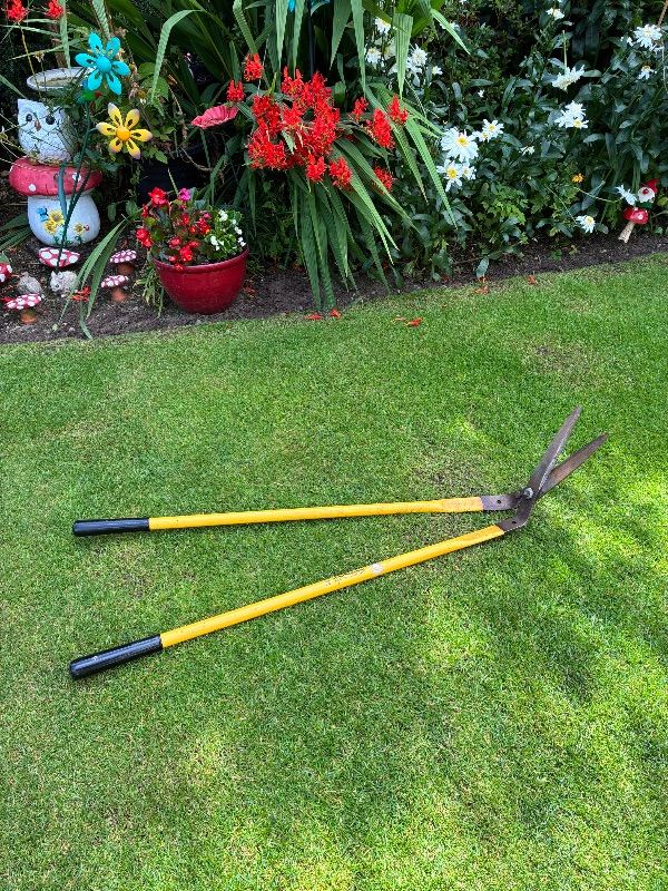 Garden Lawn Shears by Burgon & Ball