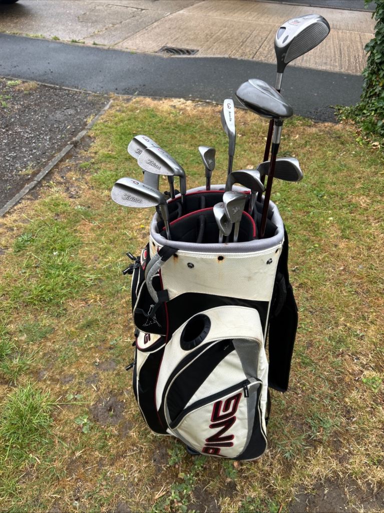 Men’s Golf Clubs Titleist Driver 3W 3-9 Irons Sw Pw Wilson Putter Ping Cart Bag 