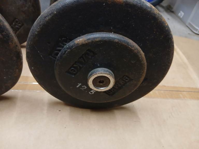 Pair of 12.5kg Dumbbells 
