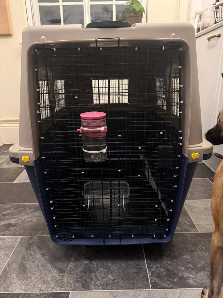 Large Dog Flight Crate (IATA Compliant)
