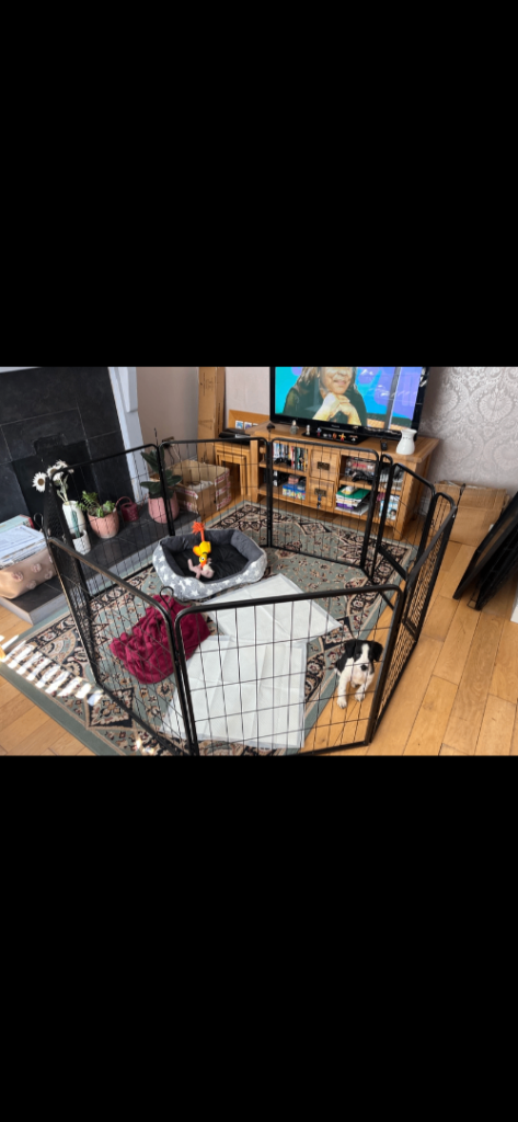 Paw Hut Playpen