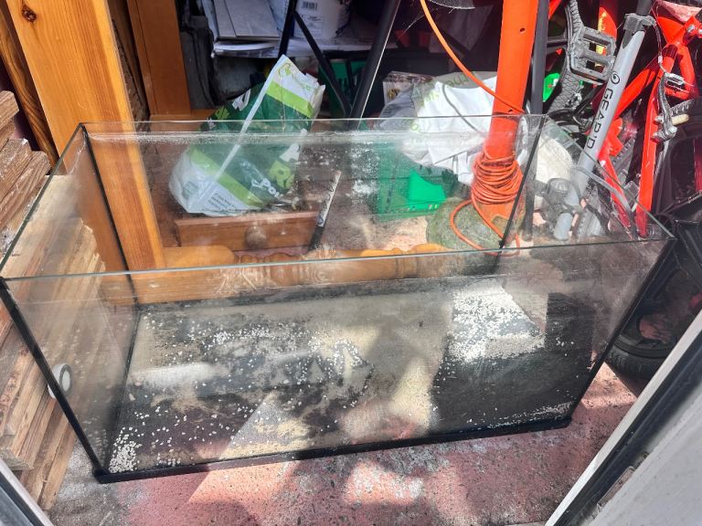 Fish Tank