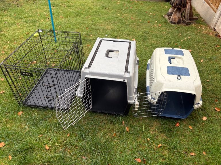 FREE: 3 dog cages 