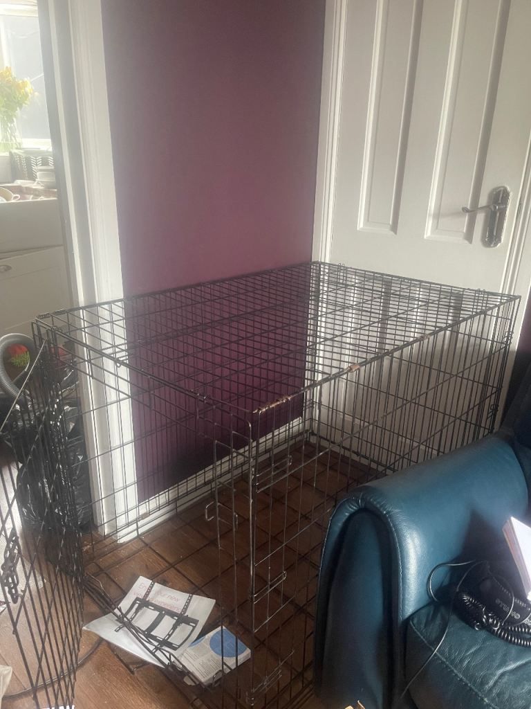 Large dog cage 