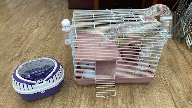 Hamster Cage plus Carrier - COLLECTION ONLY