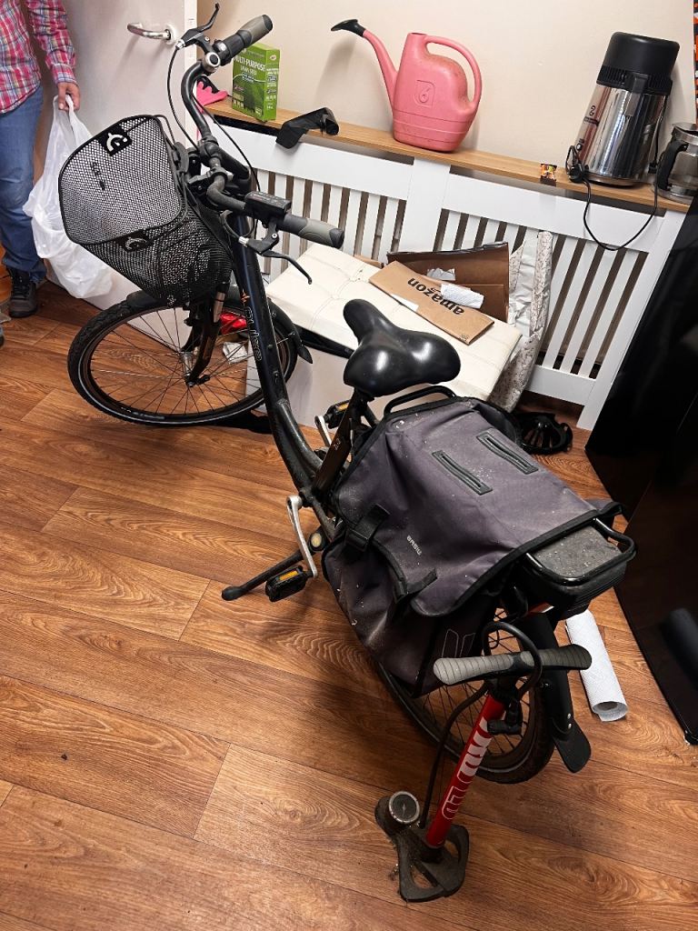 Women’s Electric Bike