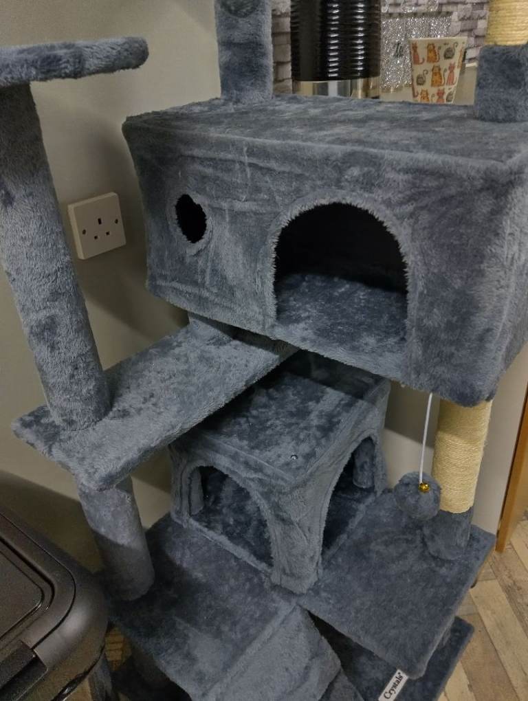 Brand new cat tree